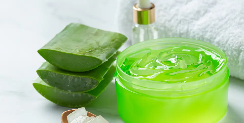 cremas calmantes con aloe vera